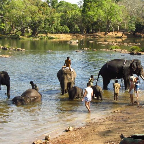 Dubare Elephant Camp on Coorg route